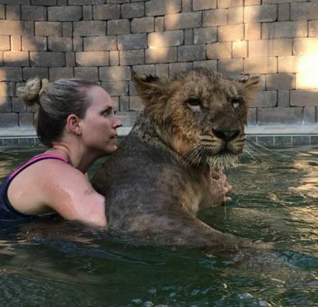 Daily Picdump