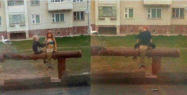Daily Picdump