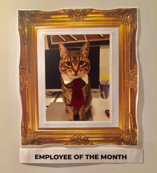 Daily Picdump
