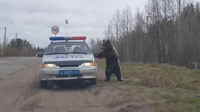 Daily Picdump