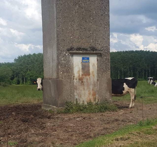 Daily Picdump