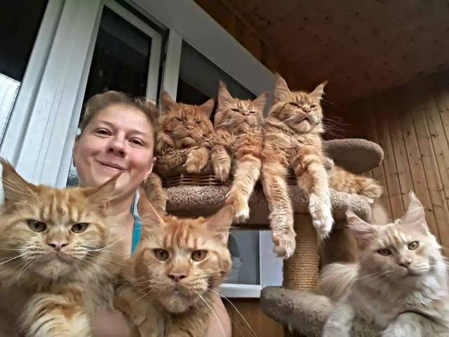 Daily Picdump
