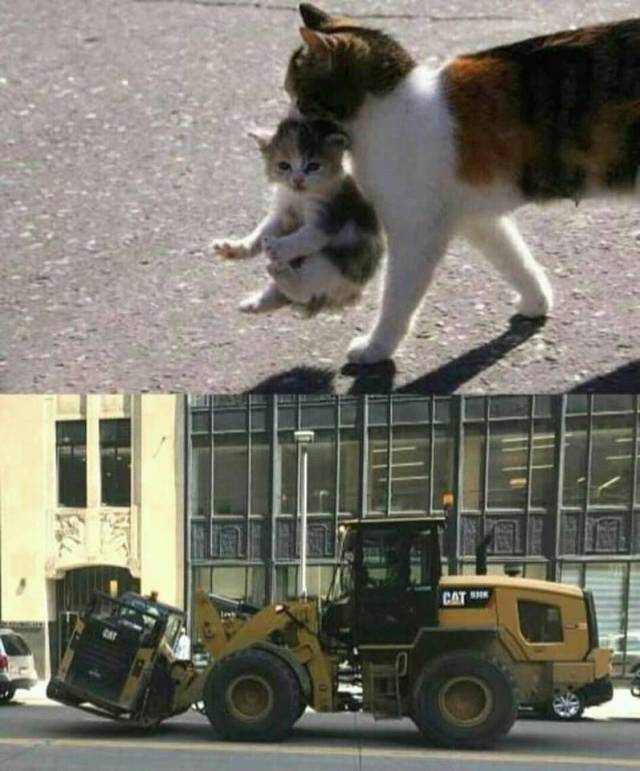 Daily Picdump