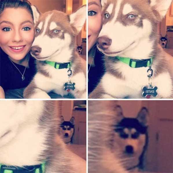Don’t Be Jealous – It’s Too Obvious
