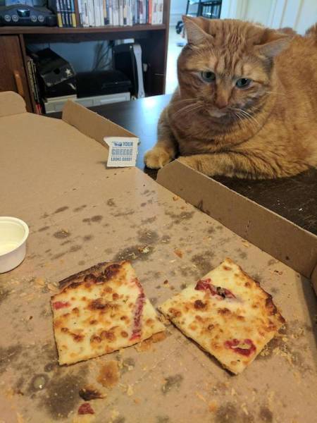 Don’t Be Jealous – It’s Too Obvious