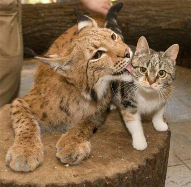 Daily Picdump