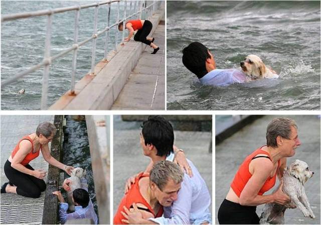 Daily Picdump