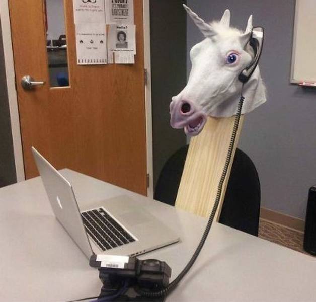 Daily Picdump