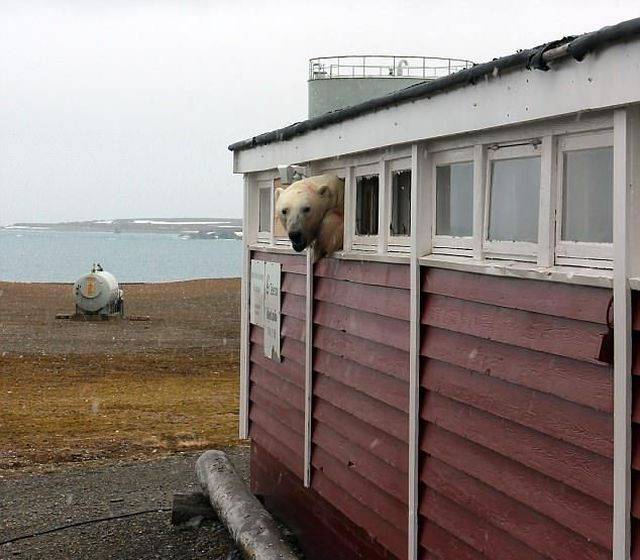 Daily Picdump