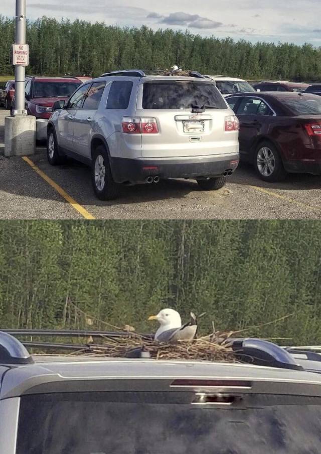 Daily Picdump