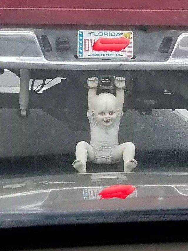 Daily Picdump