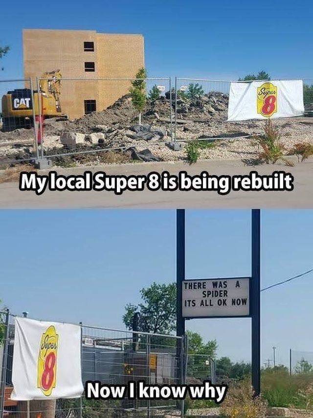 Daily Picdump