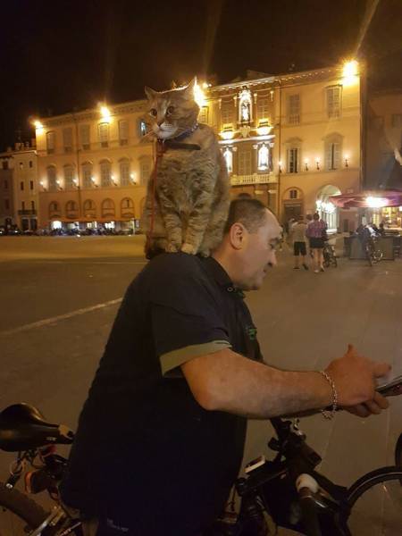 Morning Picdump