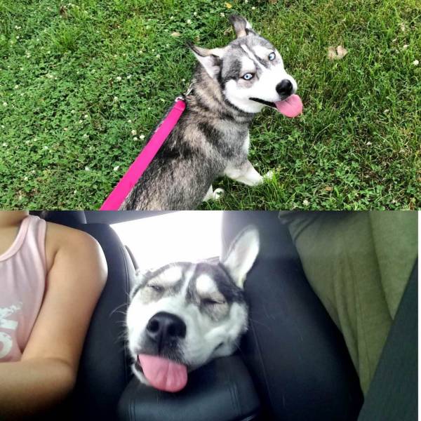 Daily Picdump