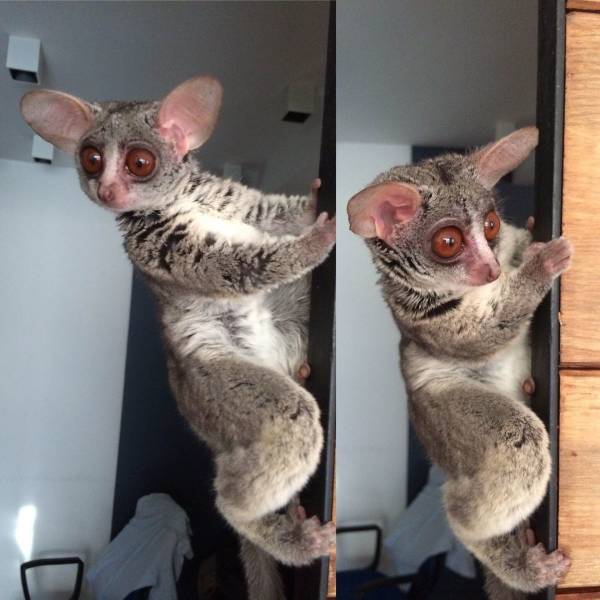 Daily Picdump