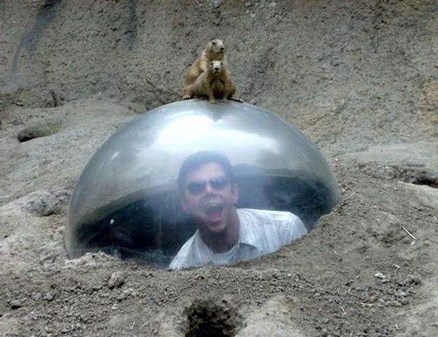 Daily Picdump