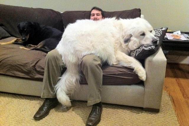 Daily Picdump