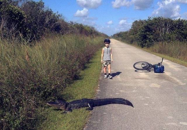Daily Picdump