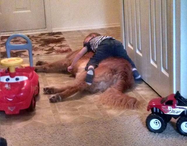 Daily Picdump