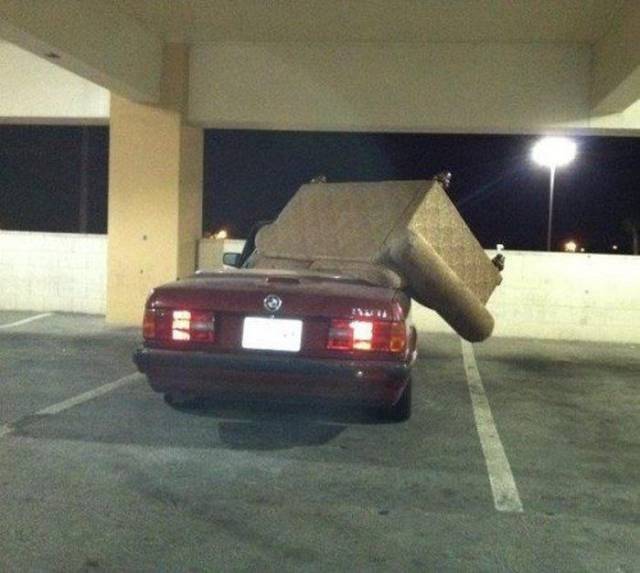 Daily Picdump