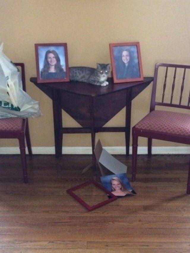Daily Picdump