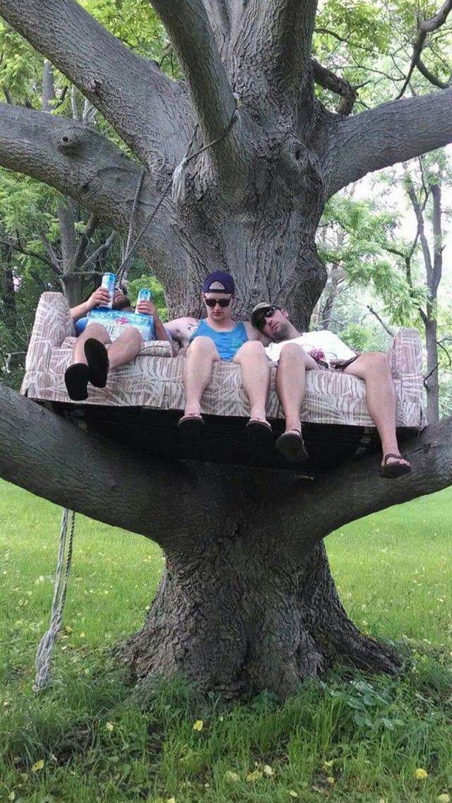 Daily Picdump