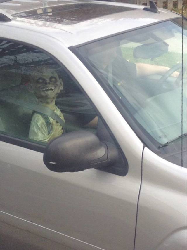 Hard-to-explain WTF Photos