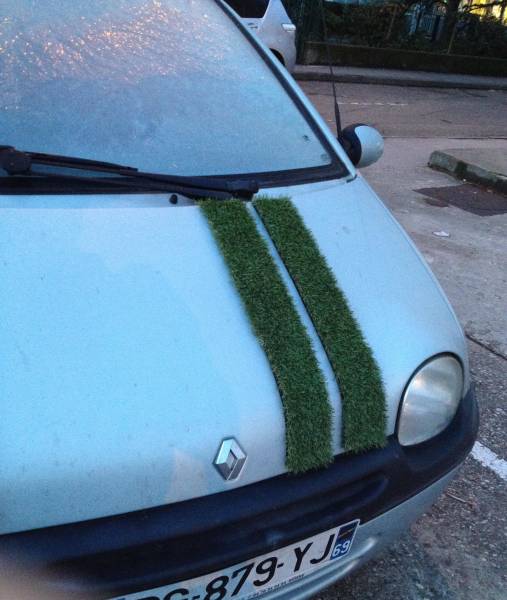 Morning Picdump