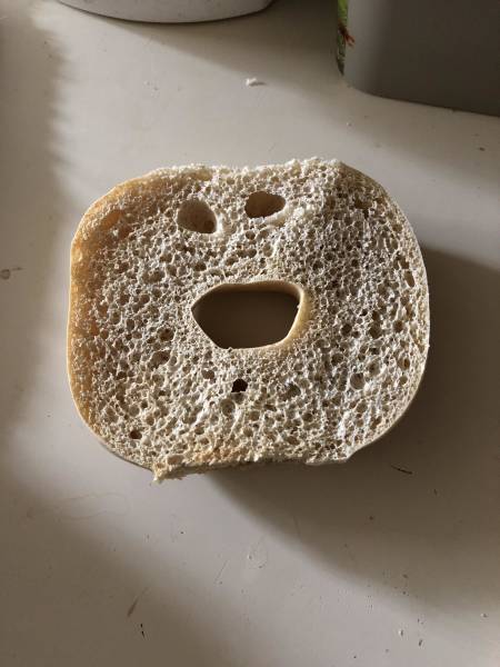 Morning Picdump
