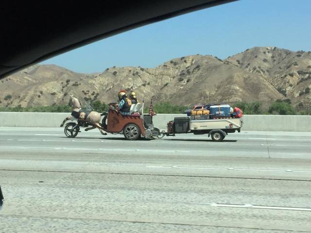 Morning Picdump