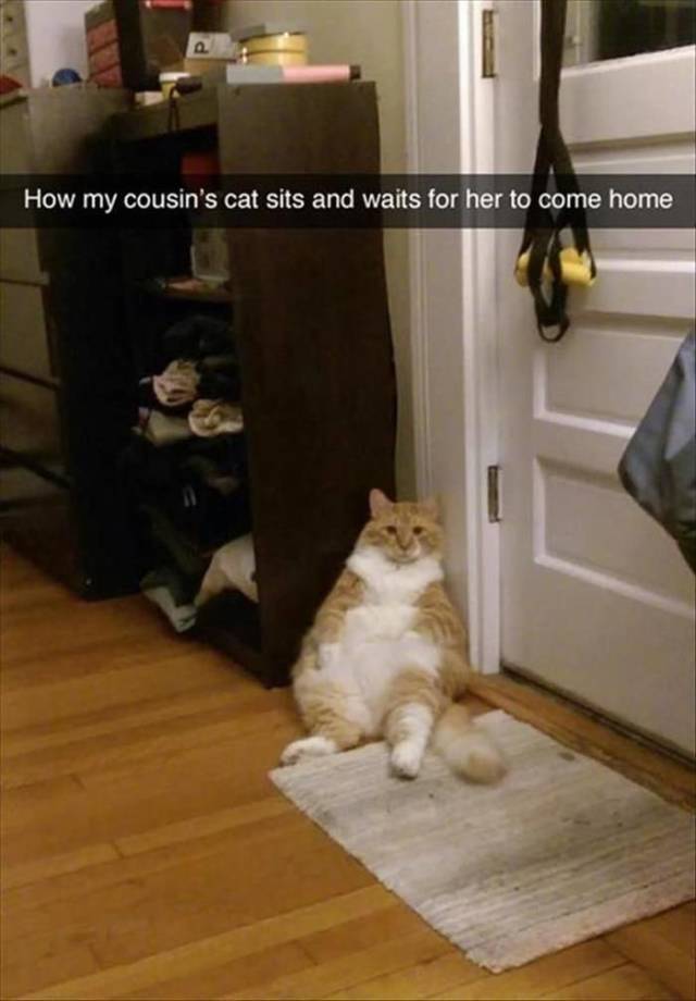 Morning Picdump