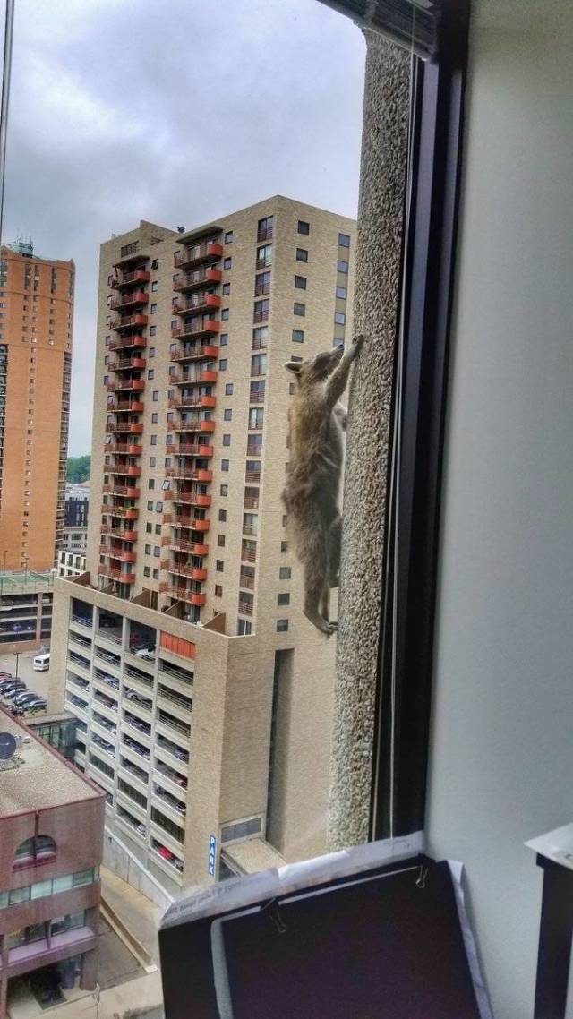 Morning Picdump