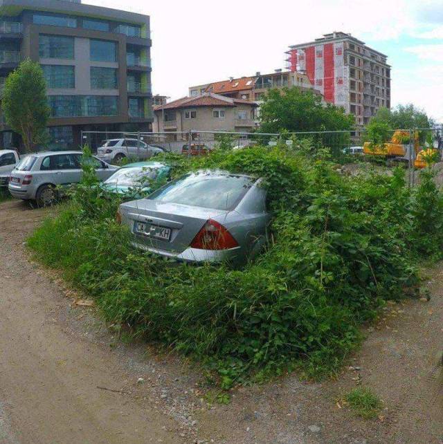 Daily Picdump