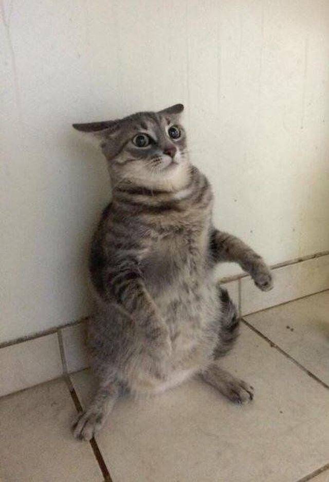 Daily Picdump
