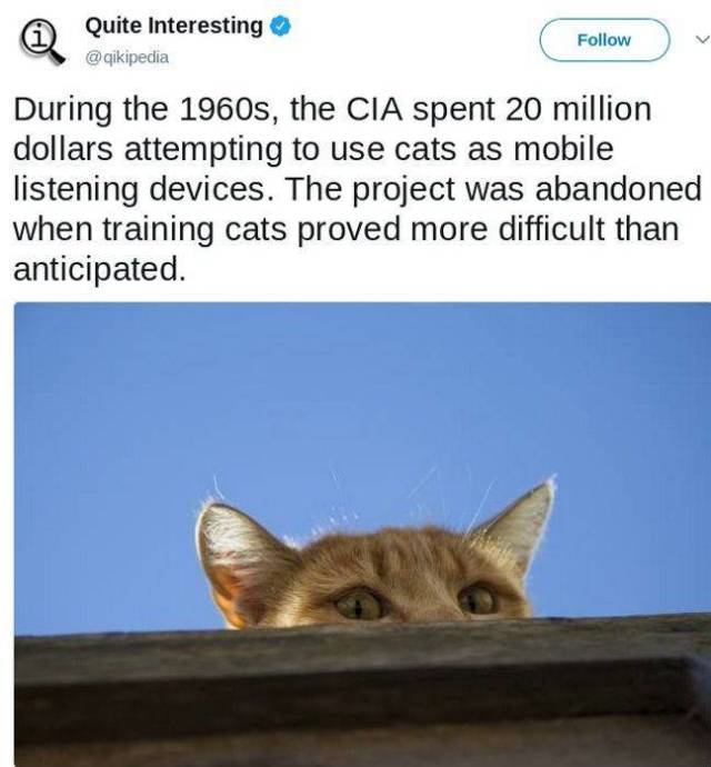 Daily Picdump
