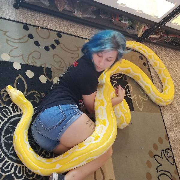 Daily Picdump
