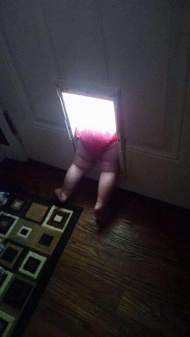 Daily Picdump