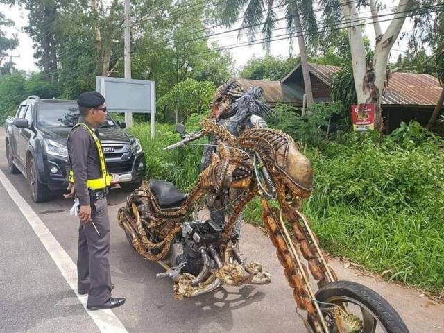 Daily Picdump