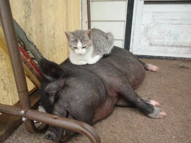 Daily Picdump