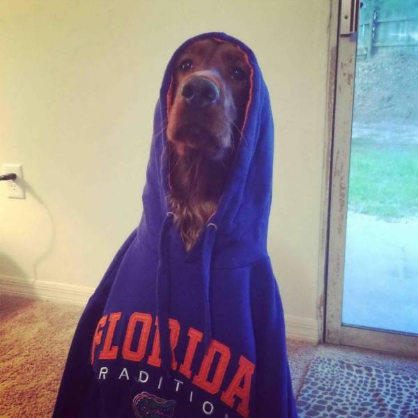 Daily Picdump