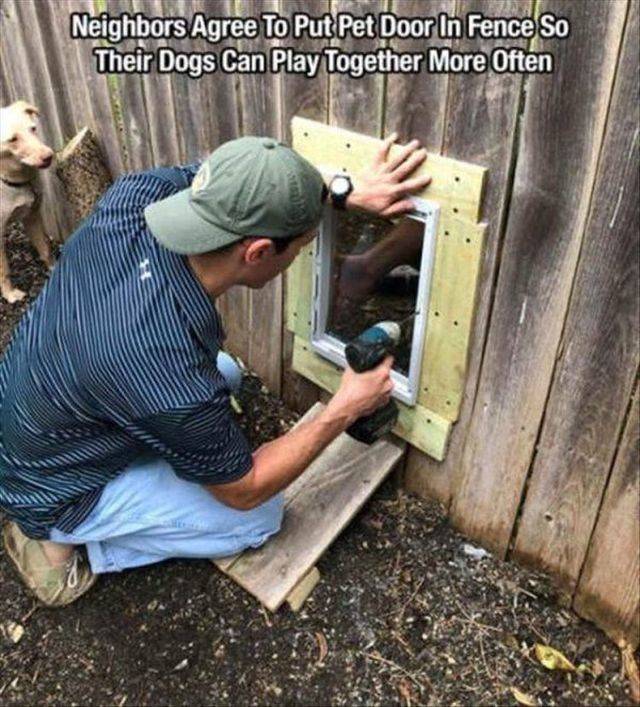 Daily Picdump