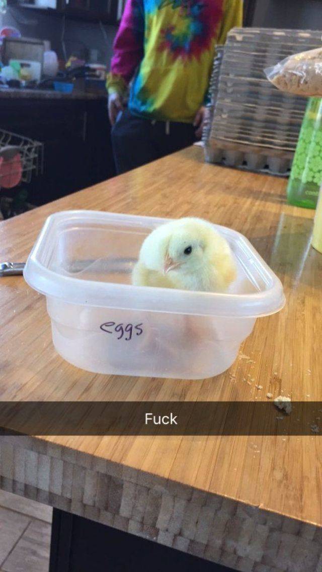 Daily Picdump