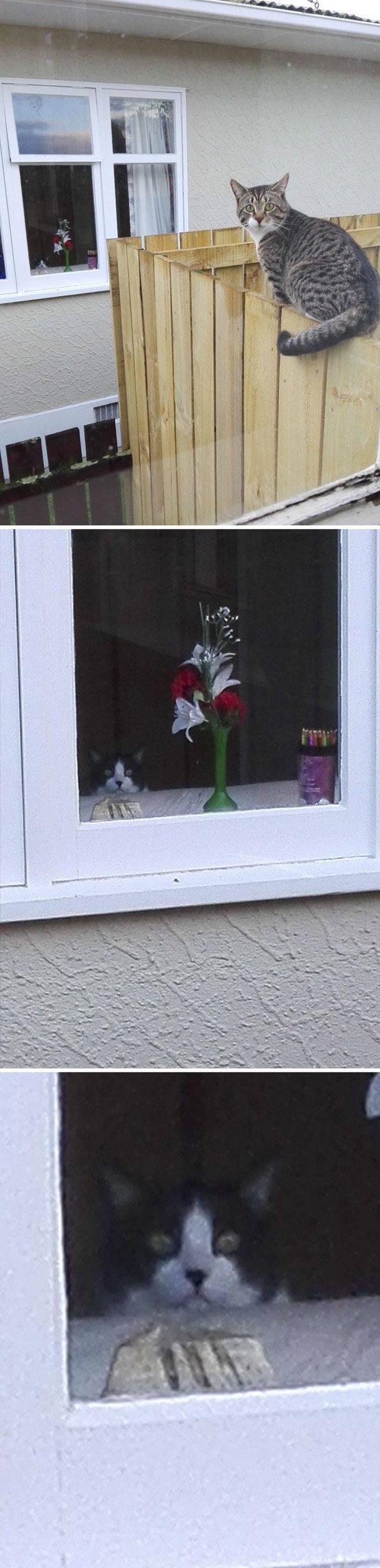 Background Always Has Something Interesting