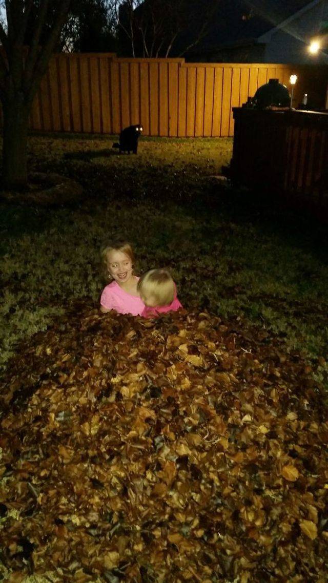 Background Always Has Something Interesting