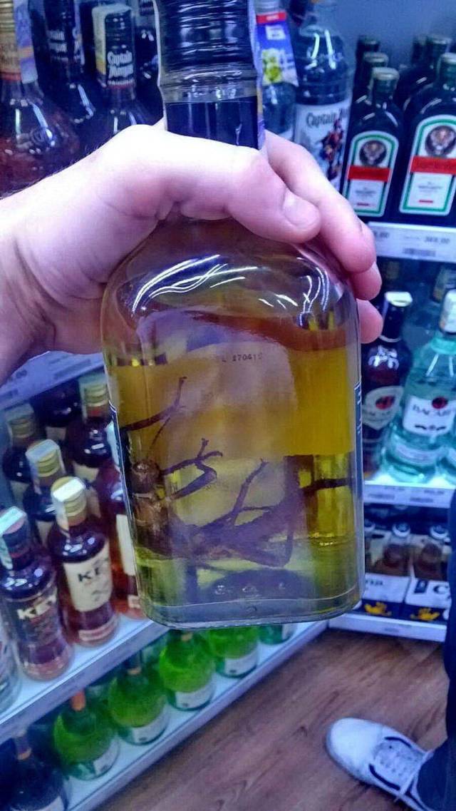 Daily Picdump