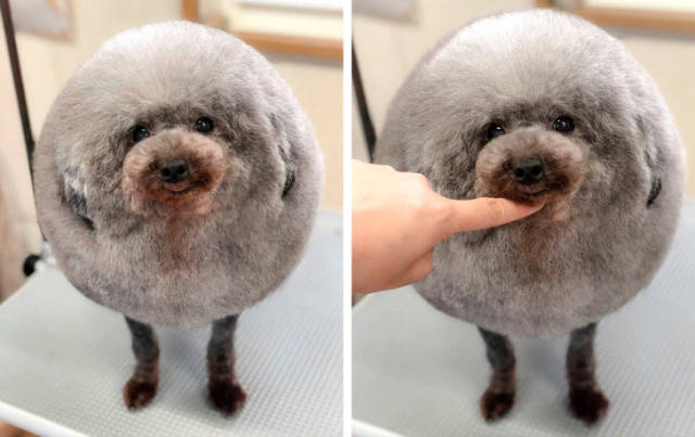 Pics That Are So Poignant and Fascinating