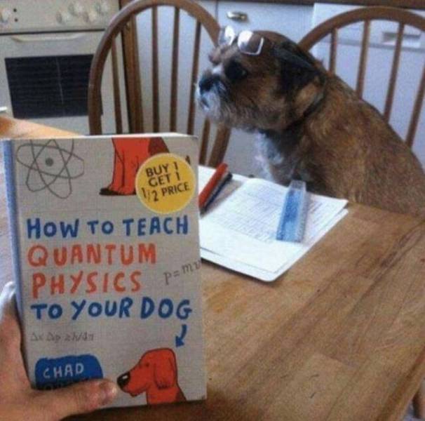 Daily Picdump