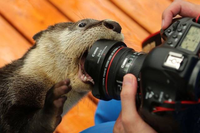 Daily Picdump