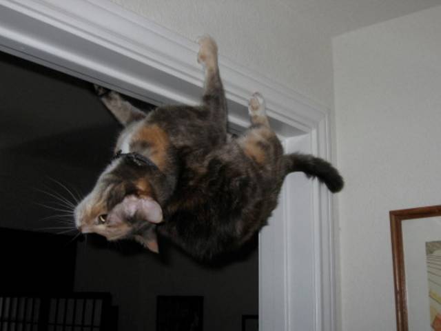 Daily Picdump