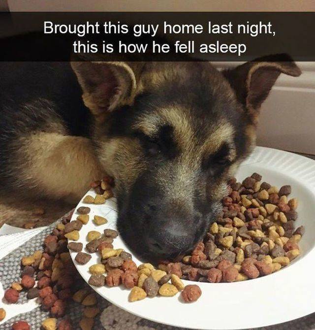 Daily Picdump